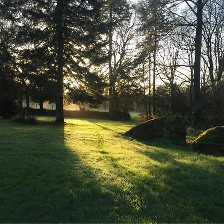 Merveilleux Cottage Dans Parc De 7,5 Hectares Saint-Nicolas-du-Pélem Esterno foto