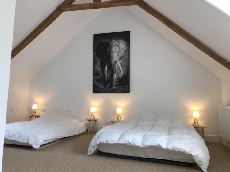 Merveilleux Cottage Dans Parc De 7,5 Hectares Saint-Nicolas-du-Pélem Esterno foto