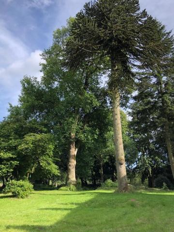 Merveilleux Cottage Dans Parc De 7,5 Hectares Saint-Nicolas-du-Pélem Esterno foto