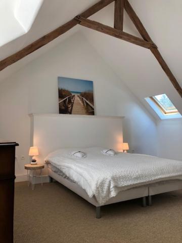 Merveilleux Cottage Dans Parc De 7,5 Hectares Saint-Nicolas-du-Pélem Esterno foto