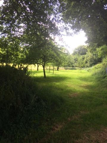 Merveilleux Cottage Dans Parc De 7,5 Hectares Saint-Nicolas-du-Pélem Esterno foto